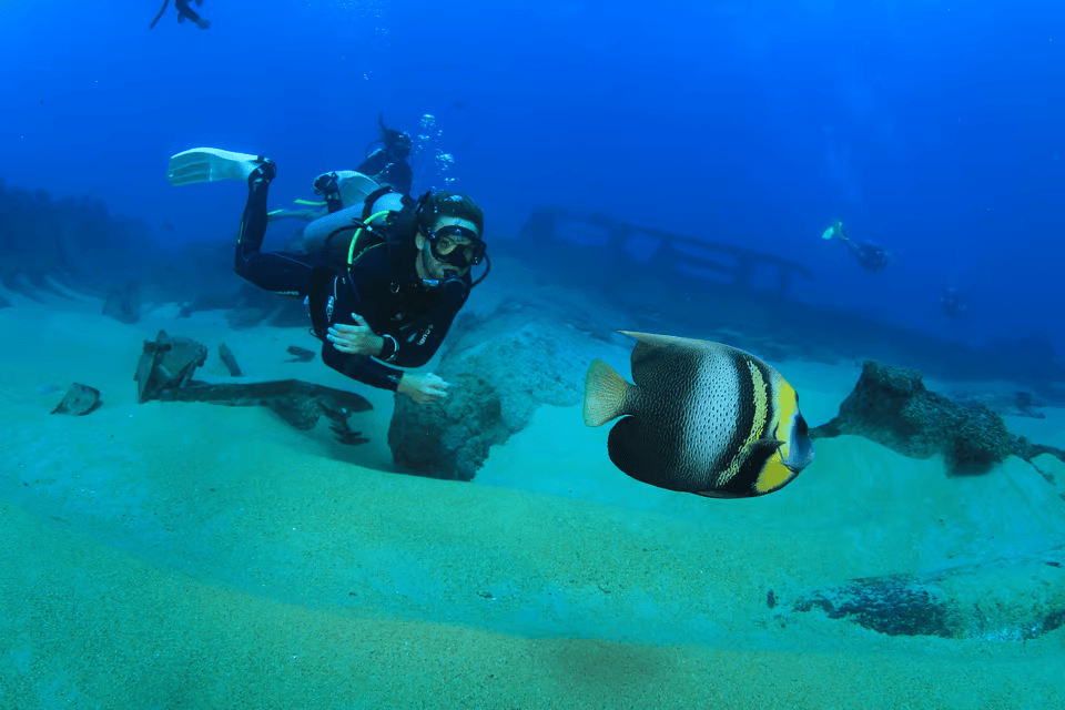 Tourism in Brazil :Scuba diver exploring an underwater shipwreck with a vibrant angelfish swimming nearby in clear blue waters