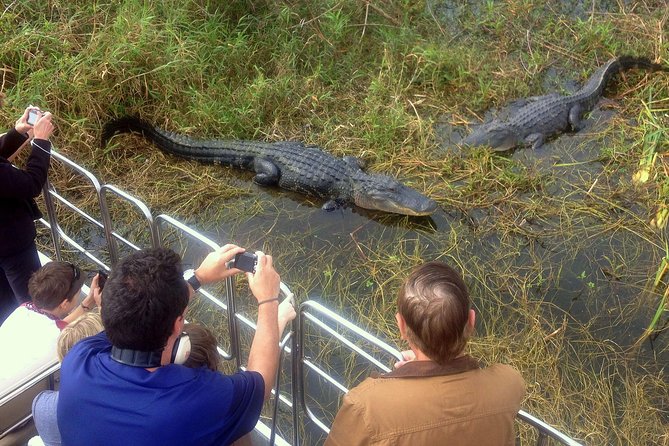 Florida Everglades Airboat Tour